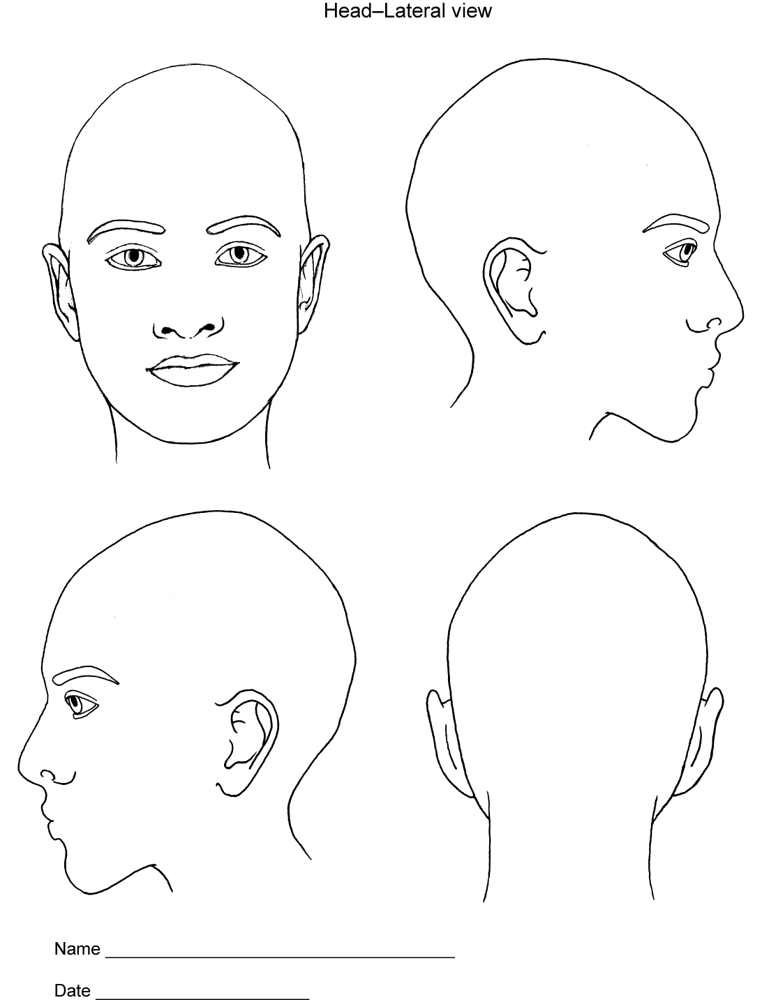 blank head diagram